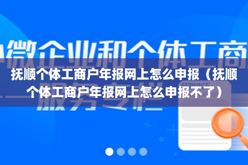 抚顺个体工商户年报网上怎么申报（抚顺个体工商户年报网上怎么申报不了）