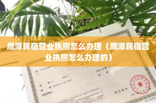 鹰潭民宿营业执照怎么办理（鹰潭民宿营业执照怎么办理的）