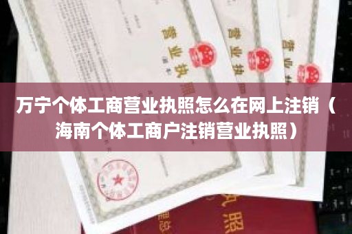 万宁个体工商营业执照怎么在网上注销（海南个体工商户注销营业执照）